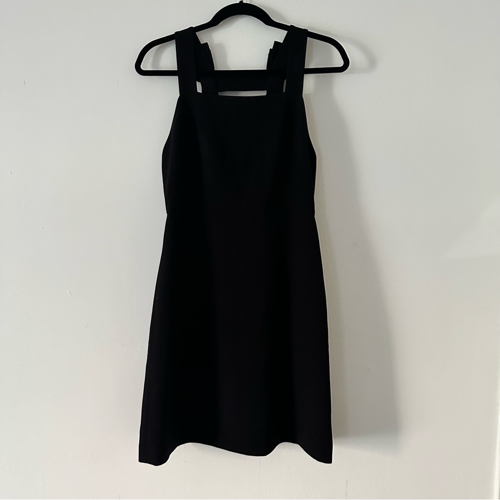 Club Monaco Apron Mini Dress with Bows